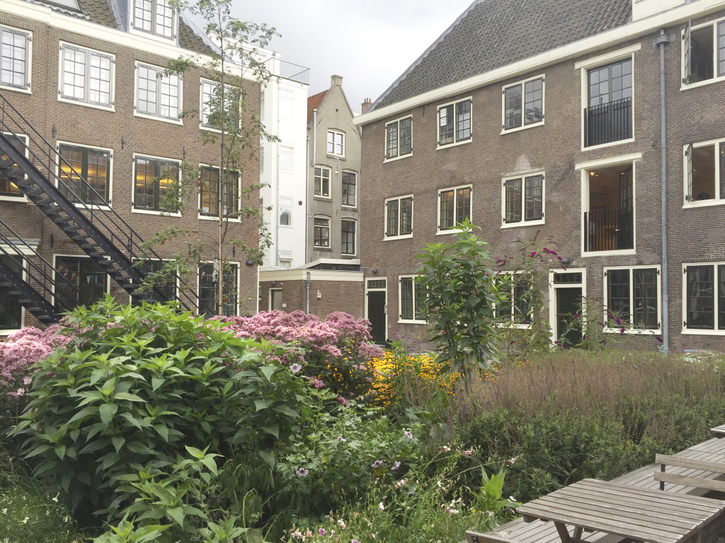 lauriergracht tuin